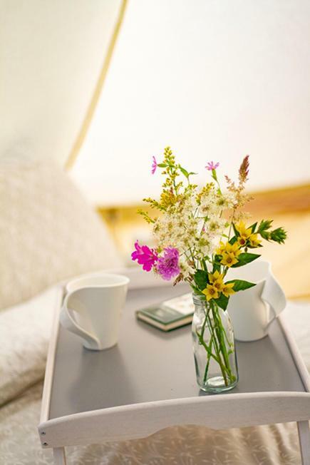Lloyds Meadow Glamping Ξενοδοχείο Τσέστερ Εξωτερικό φωτογραφία