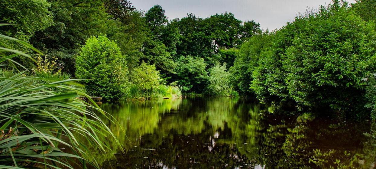 Lloyds Meadow Glamping Ξενοδοχείο Τσέστερ Εξωτερικό φωτογραφία